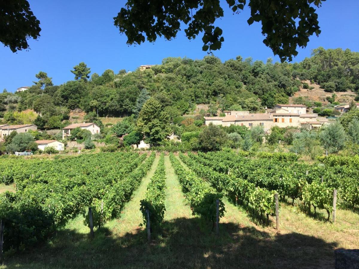 Village De Chalets Joyeuse Bagian luar foto