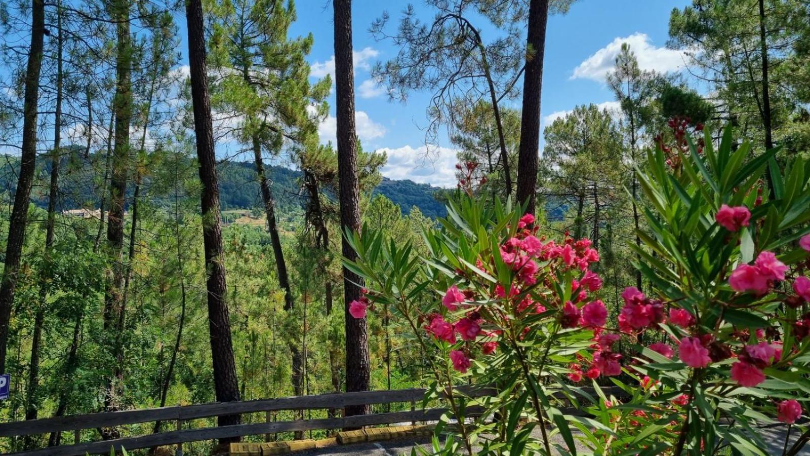 Village De Chalets Joyeuse Bagian luar foto